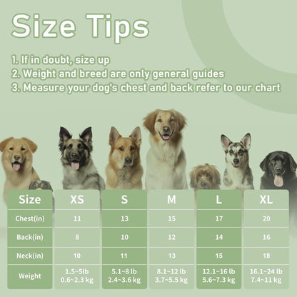 Dog Clothes, Stripe Dogs Shirts for Small & Medium Breeds, Pet Tank Top, Breathable Waffle Fabric Puppy Outfit, Shirt for Chihuahua, Yorkie, Dachshund, Corgi (Green, XLarge)